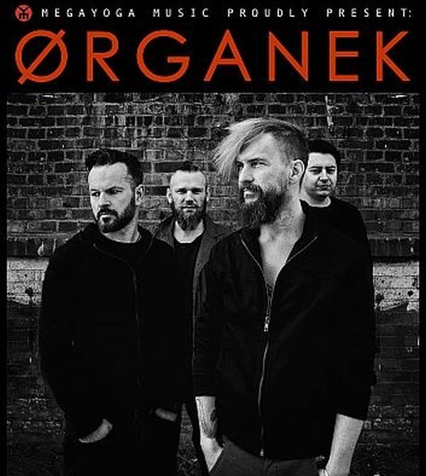 Organek w Edynburgu